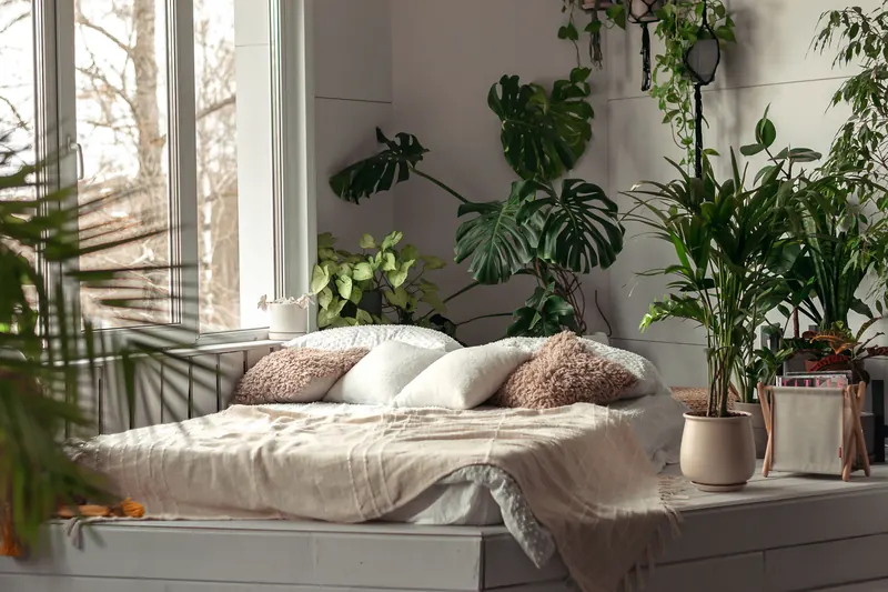 The Best Plants for the Bedroom (Hint: It's All About Air Purification) | Architectural Digest
